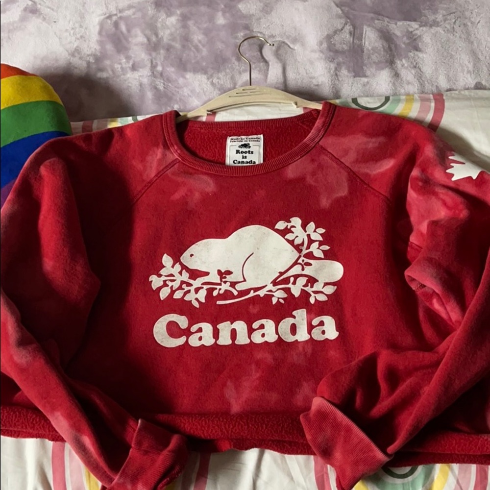 Roots sweater